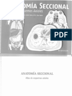 Anatomia Seccional de Clasca