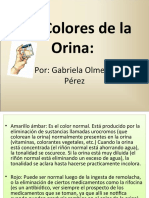 Los Colores de La Orina