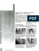 Cleaning and Shaping The Apical Third