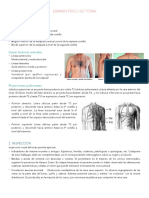 Examen Fisico Tórax, Pulmón y Sindromes Respiratorios