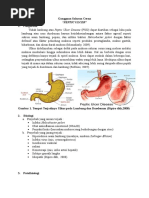 Makalah Peptic Ulcer Disease