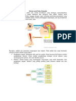 Sistem Saraf Pada Mamalia