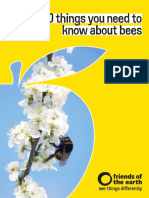 20 Things You Need To Know About Bees