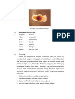 Makalah Alitropus Typus Dan Chironomus