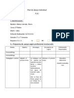 Plan de Apoyo Individual Mateo 2017