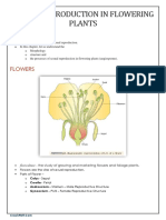 Sexual Reproduction in Flowering Plants