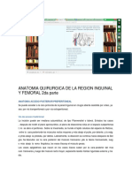 Anatomia Quirurgica de La Region Inguinal y Femoral 