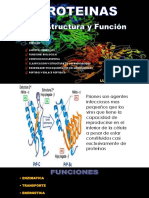 Proteinas 1ra Clase-18