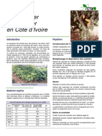 Fiche Technique Cacao PDF