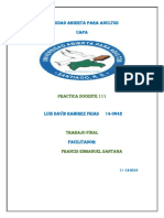 Trabajo Final de Practica Docente 111, Luis David Ramirez Frias