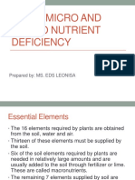 Plant Micro and Macro Nutrient Deficiency