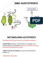 AUTOTROFOSok