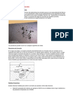 Corrosion Por Picadura 1