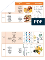 Biomolecules Chart