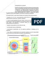 Determinantes Sociales de La Salud 1