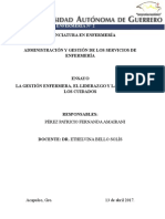 Ensayo La Gestión Enfermera, El Liderazgo y La Gestión de Los Cuidados