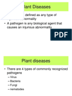 Plant Diseases