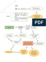 Fundamento Fisiológico