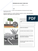 Interdependencia Del Suelos y Seres Vivos