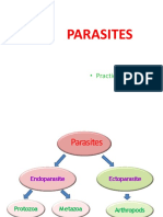 Parasites ..Practical 2