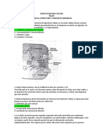 Taller de La Celula