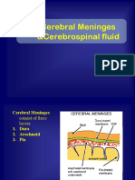 Cerebral Meninges &cerebrospinal Fluid