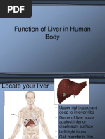 Function of Liver in Human Body: Liver Physiology, Larry Frolich, Yavapai College, March 10, 2006