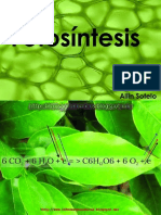 Fotosintesis PDF