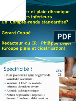 Echo Doppler Et Plaie Chronique Des Membres Inférieurs Un Compte-Rendu Standardisé?