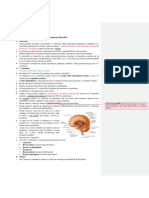 Anatomia Do Diencéfalo