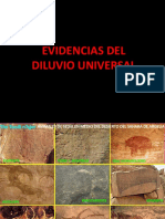 Evidencias Del Diluvio Universal