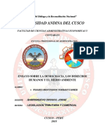 Ensayo de Democracia, Derechos Humanos y Medio Ambiente