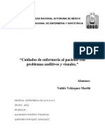 ENFERMEDADES AUDITIVAS Y VISUALES - (1) Marilu PDF