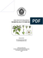 Pet Prak. Morfologi Tumbuhan 2016