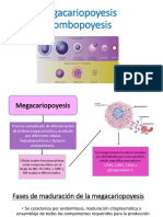 Megacariopoyesis y Trombopoyesis