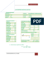 Informe de Consolidacion