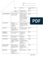 Cell Organelles Worksheet