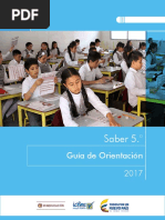 Guia de Orientacion Saber 5 2017