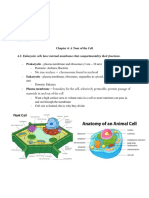 Cell Structure Function Review Presentation