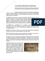 Instrumentos Utilizados Como Medio de Subsistencia