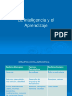 Inteligencia y Aprendizaje