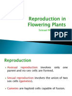 Sexual Reproduction