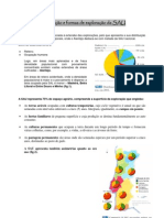 4-Distribuição e Formas de Exploração Da SAU