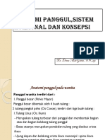 Anatomi Panggul, Sistem Hormonal Dan Konsepsi: Ns. Dina Mariyana.,S.Kep