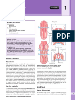 Embriología Nervioso