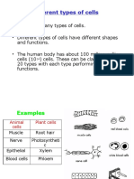 Cells, Tissues, Organs, Systems