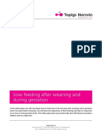 Sow Feeding 2 Feeding Weaning Gestation