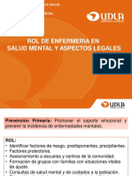 Rol de Enfermer A en Salud Mental