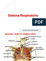 Aparato Respiratorio