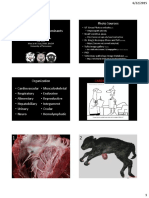 51 Diseases of Ruminants - Dr. Sula